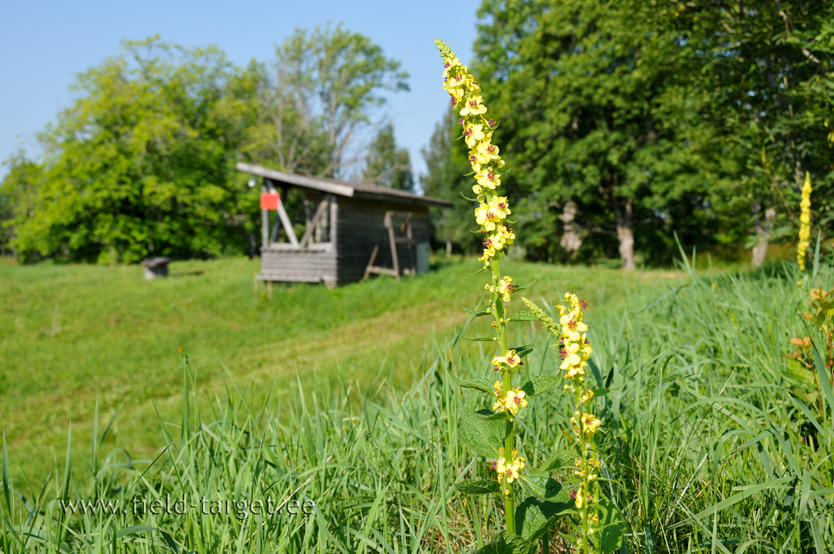 Teise päeva hommik oli haruldaselt ilus